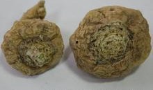 国产特级黄,探寻国产特级黄酒的魅力与传承