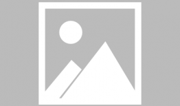 国产cdts,引领科技潮流的创新力量