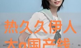 伊人国产网,聚焦国产影视，展现时代风采