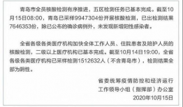 国产手机看片1024,国产手机观影新体验，畅享高清大片